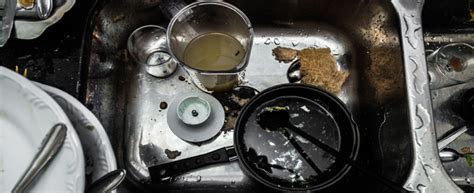 DIY Vs Professional Dishwasher Installation: Cost Comparison