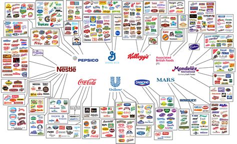 Overview Of Popular Brands And Their Installation Costs
